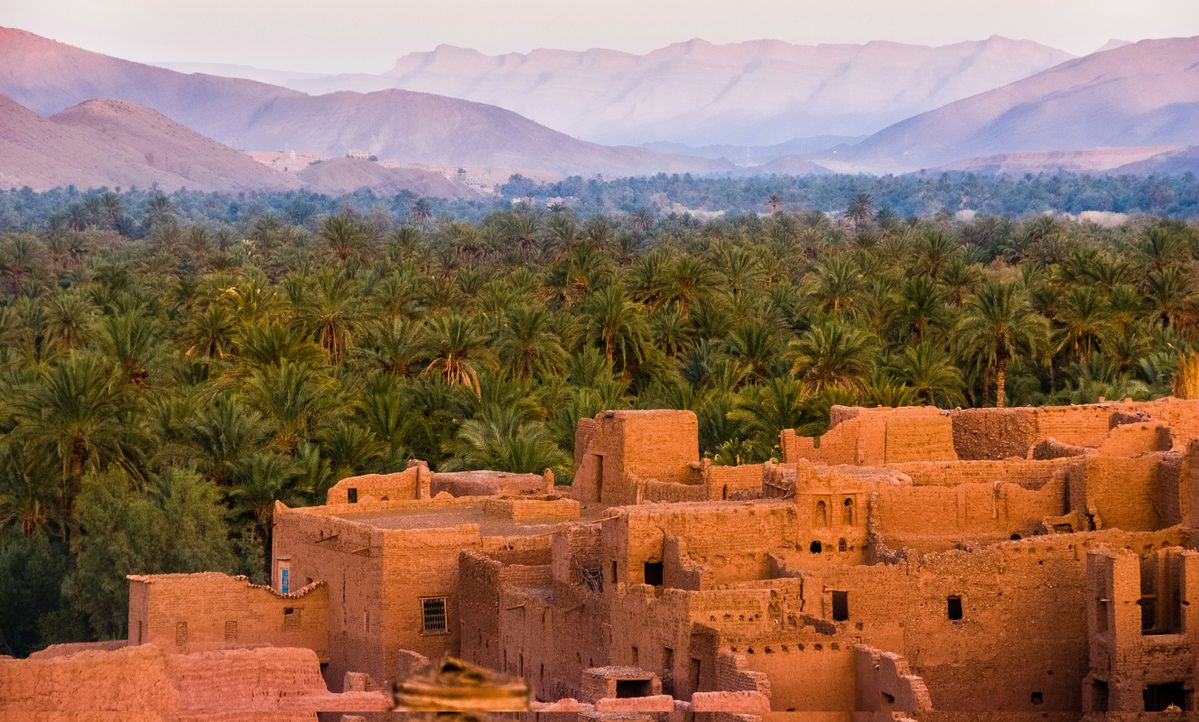 Zagora Desert Morocco
